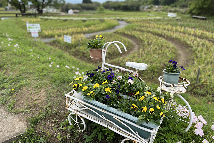 おかばる花公園06